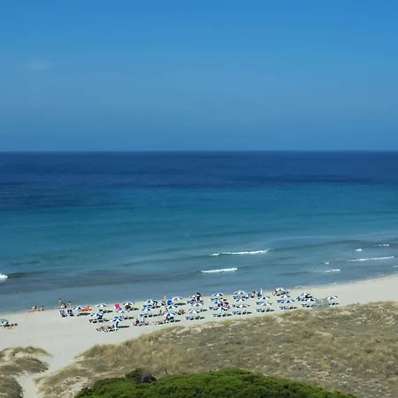 Casa Bonita By Willa Alaior